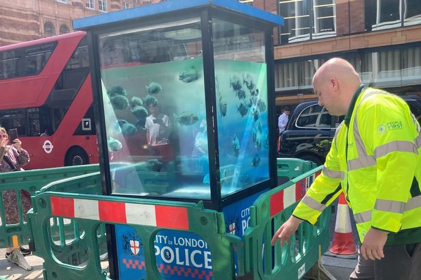 New Banksy artwork of piranhas in sentry box moved by police amid 'safety' fears