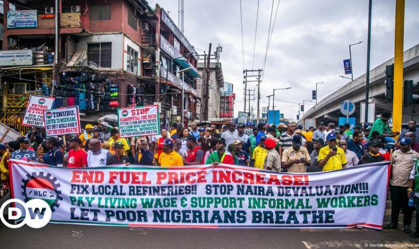 Nigeria frees Polish students, lecturer after Kano protest