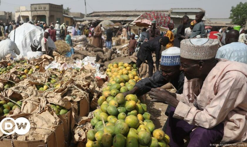 Nigerians struggle to make ends meet amid economic crisis