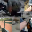 Nord-Mali : les Touaregs récupèrent des vidéos trouvées sur des cadavres de mercenaires de Wagner