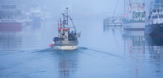 Ostsee: EU-Kommission will Überfischung durch niedrigere Fangquoten stoppen