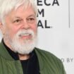 Paul Watson: Japan verlangt von Dänemark Auslieferung von Sea Shepherd-Gründer