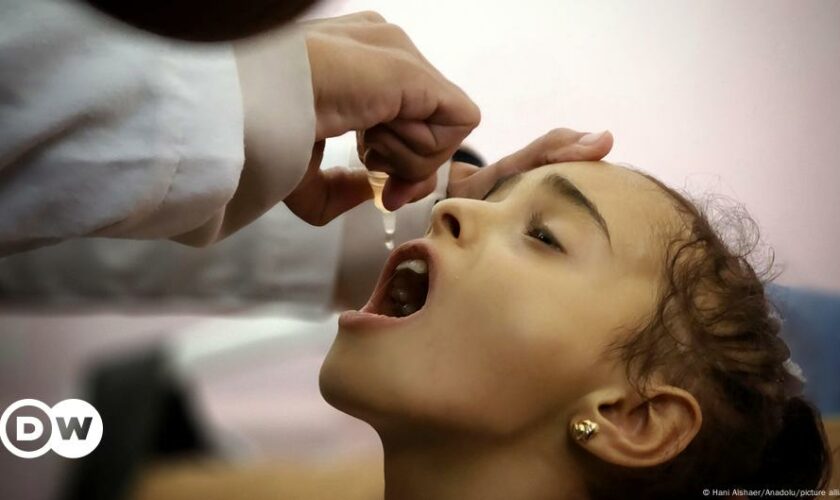 Polio vaccines arrive in Gaza after first case in 25 years