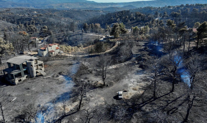 « Pour retrouver le même paysage, il faudra bien quinze ans » : tristesse à Varnavas, après le mégafeu en Grèce