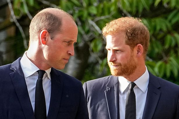 Prince William 'broke royal brother's pact' leaving Harry heartbroken in its wake