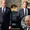 Prince William 'would never have discouraged Prince Harry from coming to the funeral of their uncle Lord Fellowes', insiders claim