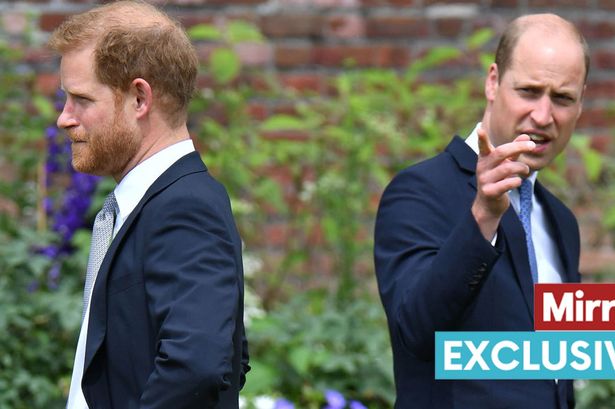 Prince William's response to Harry 'engineered by the palace' and not a 'warm' exchange