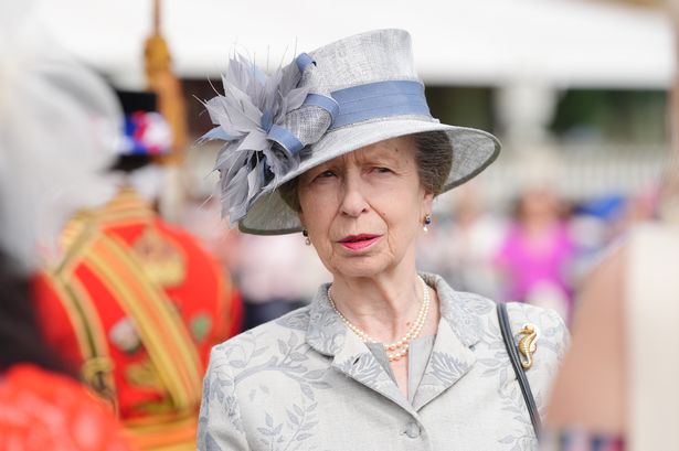 Princess Anne showed true feelings with warning to younger royals 'trying to reinvent wheel'