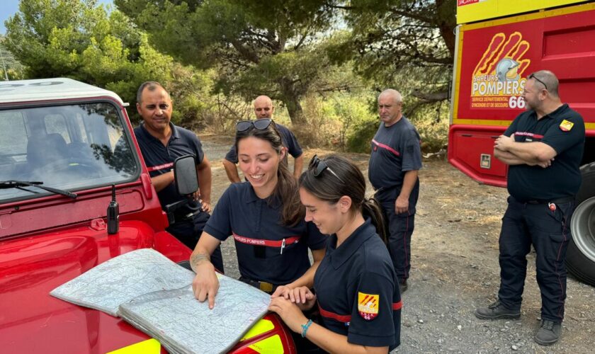 Pyrénées-Orientales : au cœur de la bataille quotidienne pour étouffer dans l’œuf les feux de forêt