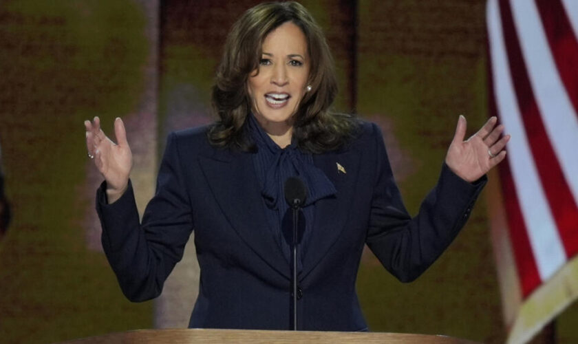 REPLAY : discours de Kamala Harris, officiellement candidate du camp démocrate