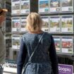 Rate cuts to fuel house price rises, Halifax says