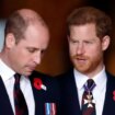 Real reason Prince William 'won't forgive' Prince Harry is all to do with Kate, pals say