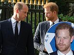 Royal reunion in NYC? Prince Harry set for packed Manhattan trip at same time Prince William is expected there to host Earthshot summit