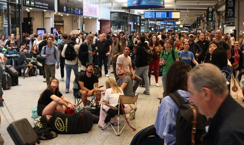 SNCF : à la gare de Lyon, Montparnasse ou Lille Flandres, les passagers entre galère et débrouille