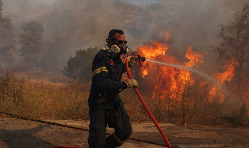 «Silence assourdissant» : en Grèce, le gouvernement fustigé dans la presse pour sa gestion de l’incendie qui ravage le pays