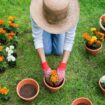 Simple hack to grow more plants and make your garden extra lush - even if it's tiny