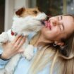 Simple six-second test proves whether your dog loves you more than anyone else