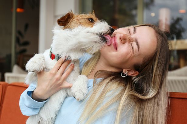 Simple six-second test proves whether your dog loves you more than anyone else