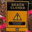 Sneaky locals put up fake closure signs on Majorca beaches to keep tourists away