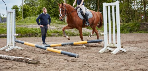 So arbeitet ein Reitlehrer: Ein Job mit Hindernissen