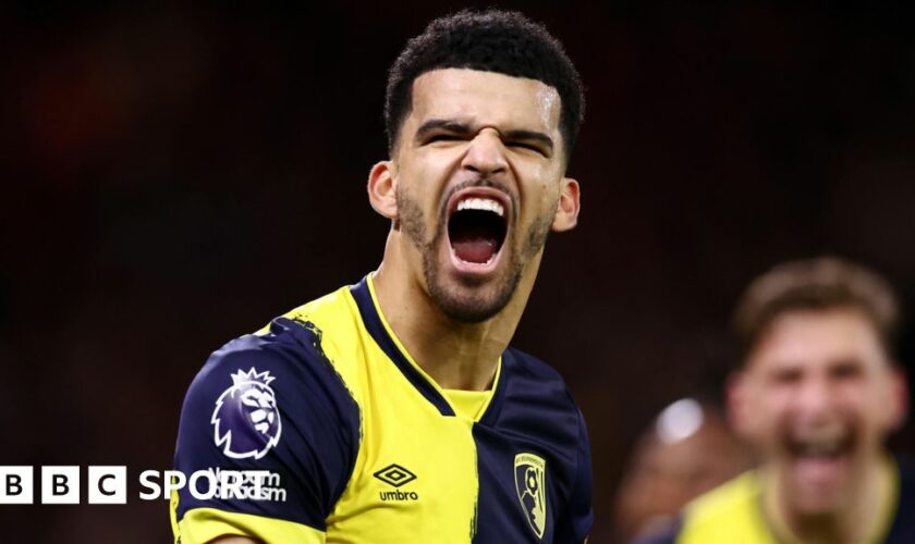 Dominic Solanke