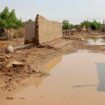 Sudan: Gesundheitsminister ruft Cholera-Epidemie aus