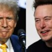 Sur X, l'entretien entre Elon Musk et Donald Trump débute par une "cyberattaque"