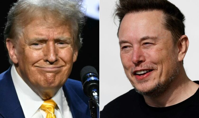 Sur X, l'entretien entre Elon Musk et Donald Trump débute par une "cyberattaque"