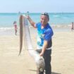 Three-metre-long fish washes up on tourist beach - with horrifying locals' predictions