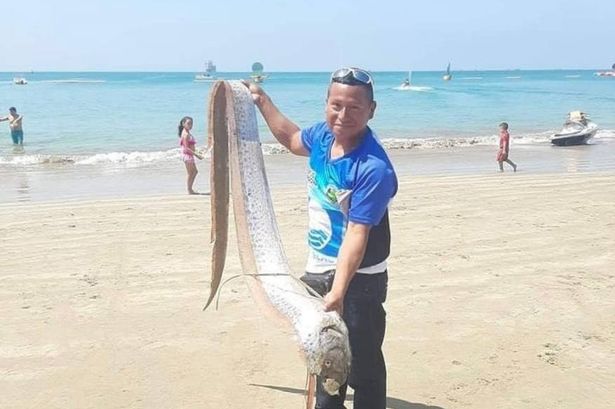 Three-metre-long fish washes up on tourist beach - with horrifying locals' predictions