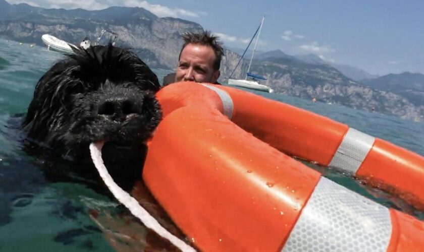 Tierische Helfer: Baywatch vom Gardasee: Diese Hunde retten Menschen vorm Ertrinken