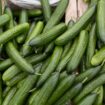 TikTok trend makes Icelanders lose their cool over cucumbers