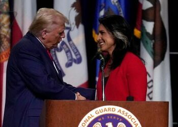 Tulsi Gabbard: Ex-US-Demokratin unterstützt Donald Trump für Wahl 2024