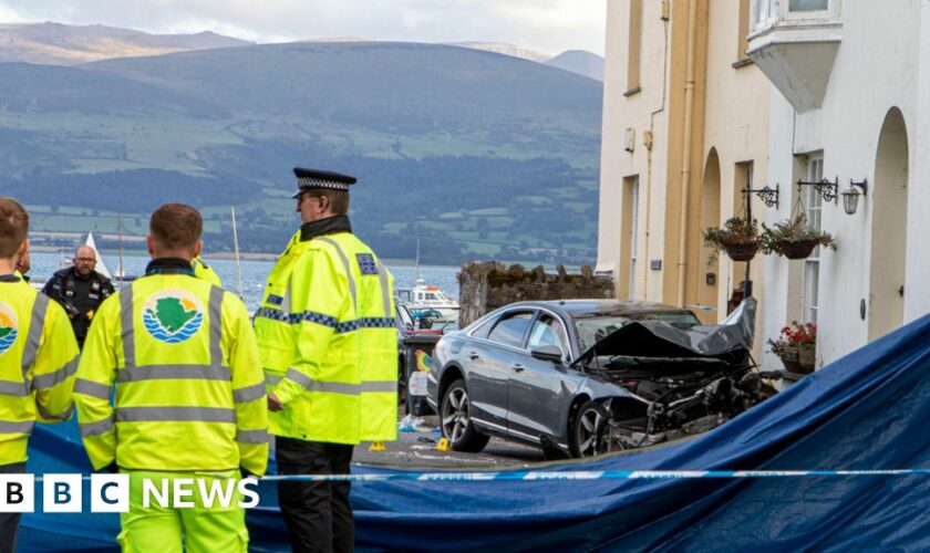 Two pedestrians and driver dead after car crash