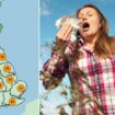 UK weather: 'High' pollen warnings as nine regions brace for hayfever hell - see full list