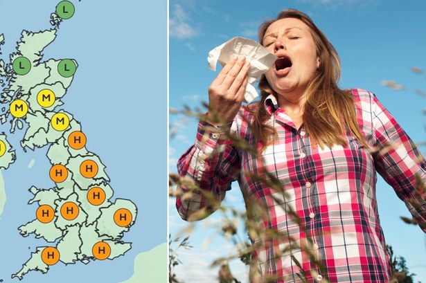 UK weather: 'High' pollen warnings as nine regions brace for hayfever hell - see full list