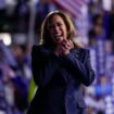 US-Wahl: Kamala Harris: Highlights ihrer Rede im Video