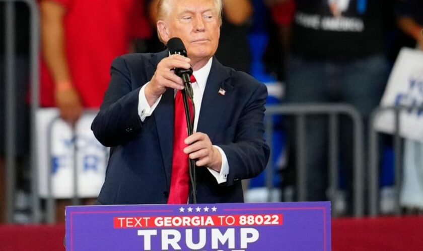 Sie habe einen niedrigen IQ, behauptete Trump mit Blick auf seine Kontrahentin Harris. Foto: Ben Gray/AP/dpa