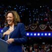 US election: Why does DNC matter to Democrats and Harris?