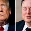 Umstrittenes Gespräch: "Die ganze Zeit gegenseitig gelobt" – US-Experte analysiert Trump-Musk-Plausch