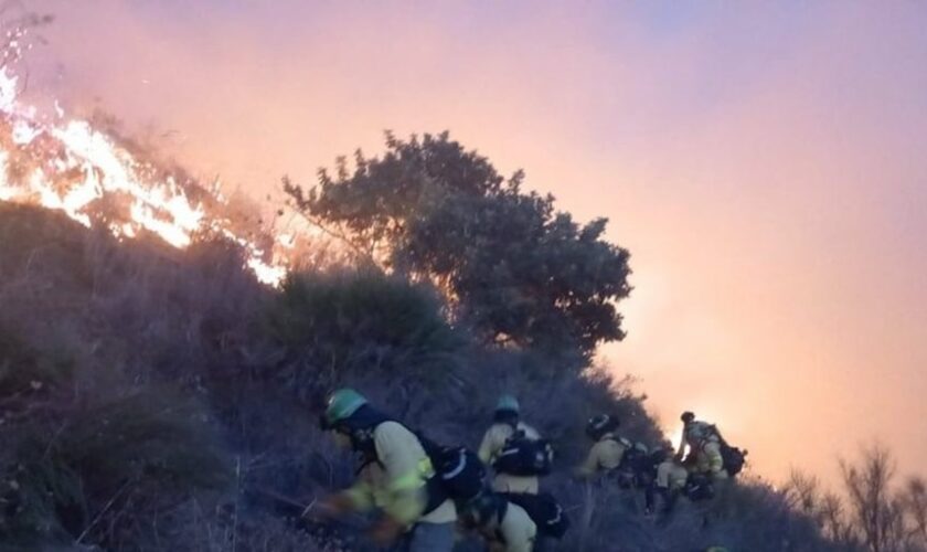 Un incendio en Almuñécar pone en jaque a 160 bomberos y obliga a evacuar a una mujer por inhalación de humo