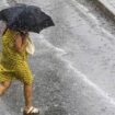 Una impresionante tormenta derriba árboles y deja varias calles anegadas en Burgos