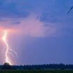 Bei Gewitter sind Masten unbedingt zu meiden. Foto: Patrick Pleul/dpa