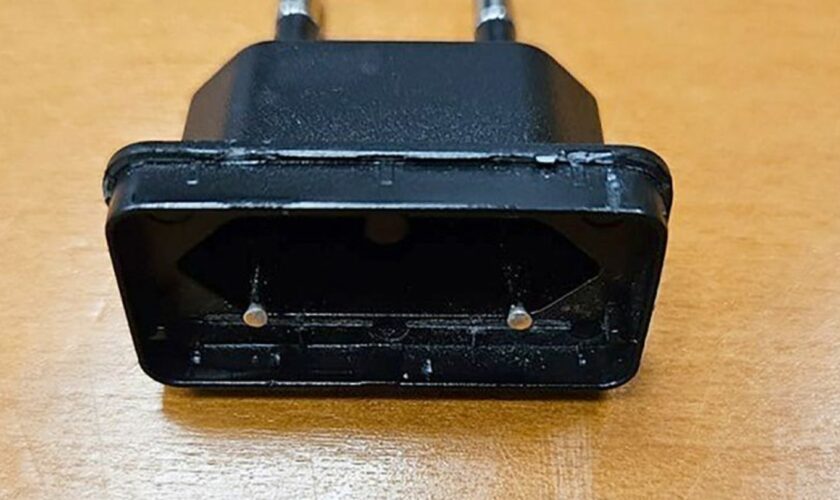 An diesem Adapter soll sich das Kind verletzt haben. Foto: --/Bundespolizeiinspektion Karlsruhe/dpa