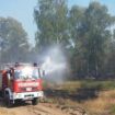 Die Feuerwehr löscht von Wegen aus beim Waldbrand in Jüterbog. Foto: Cevin Dettlaff/dpa