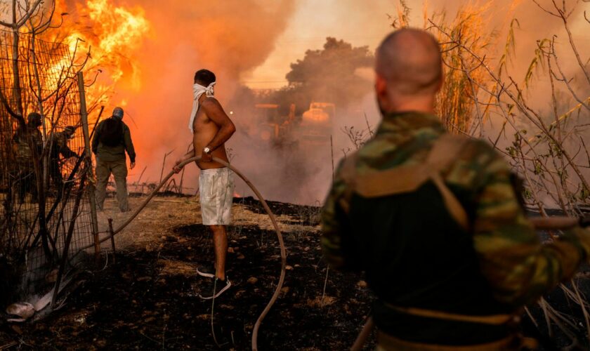 Waldbrände in Griechenland: Flammen sind Athen "so nah wie noch nie"