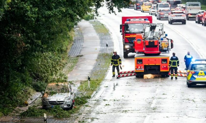 Gewitter mit kräftigen Regenfällen sorgten in Hamburg für Einsätze. Foto: Daniel Bockwoldt/dpa