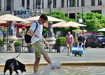 Wetter in Deutschland: Zum Wochenende kehrt der Hochsommer zurück