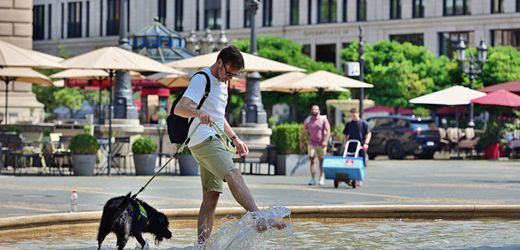 Wetter in Deutschland: Zum Wochenende kehrt der Hochsommer zurück