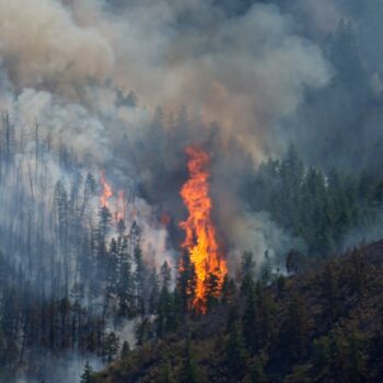 Wildfires rage through Colorado, prompting hundreds to evacuate; 1 killed